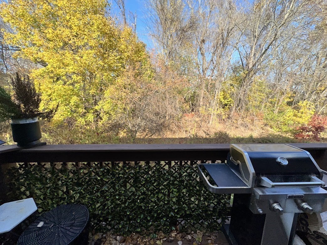 174 Beekman Dr Unit 174, Agawam, MA 01001 - Image 26