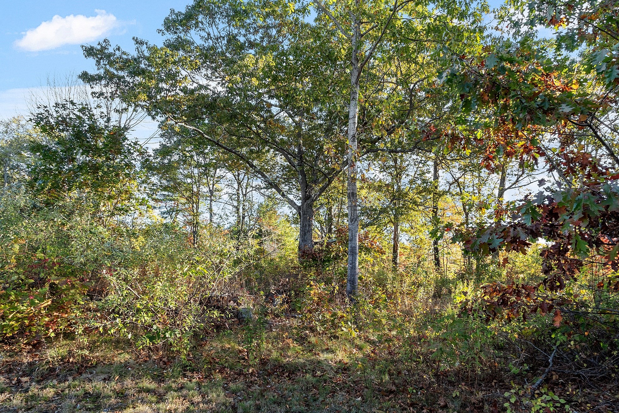 1 Manning St., Holden, MA 01522 - Image 5