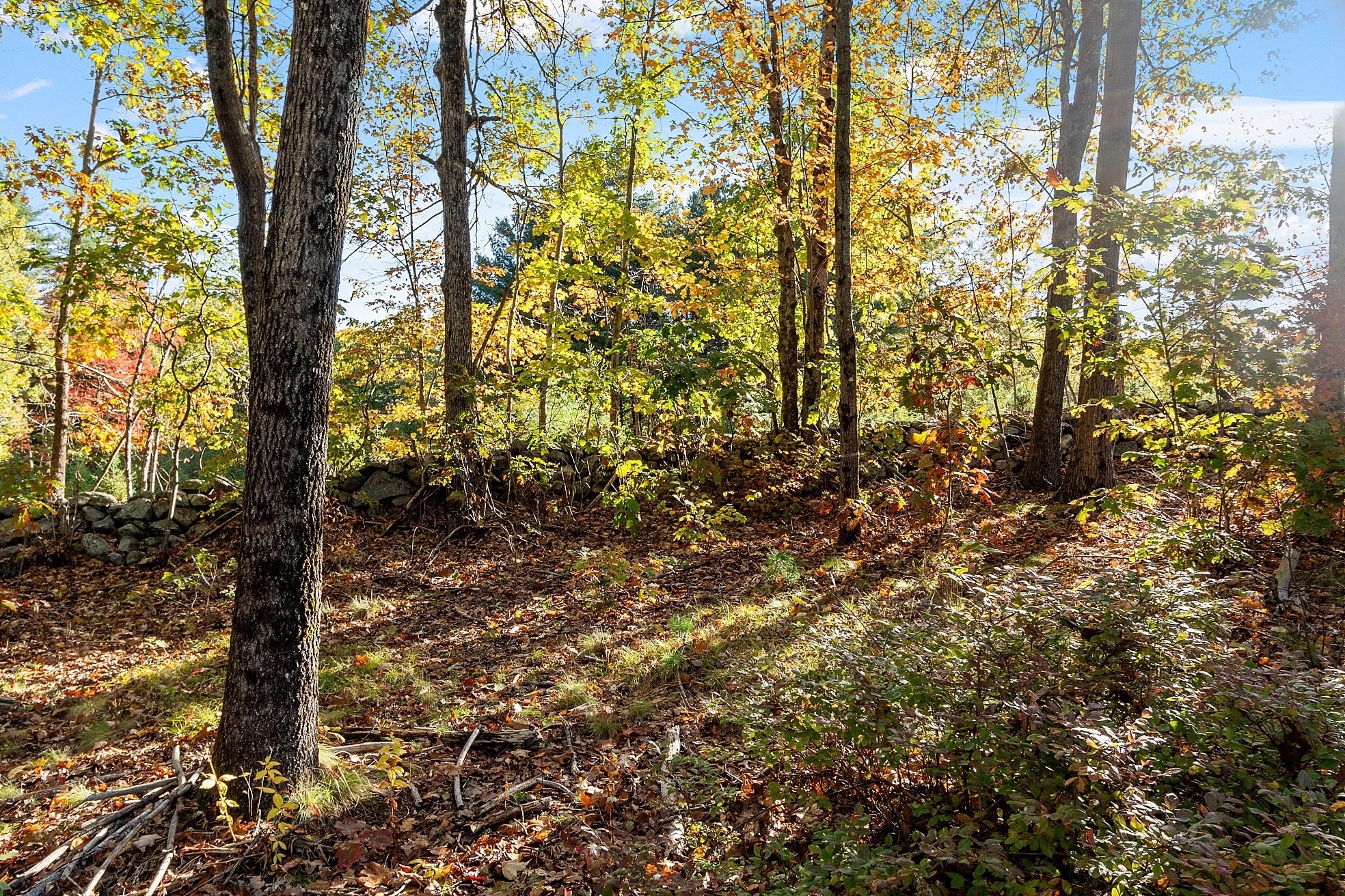 1 Manning St., Holden, MA 01522 - Image 6