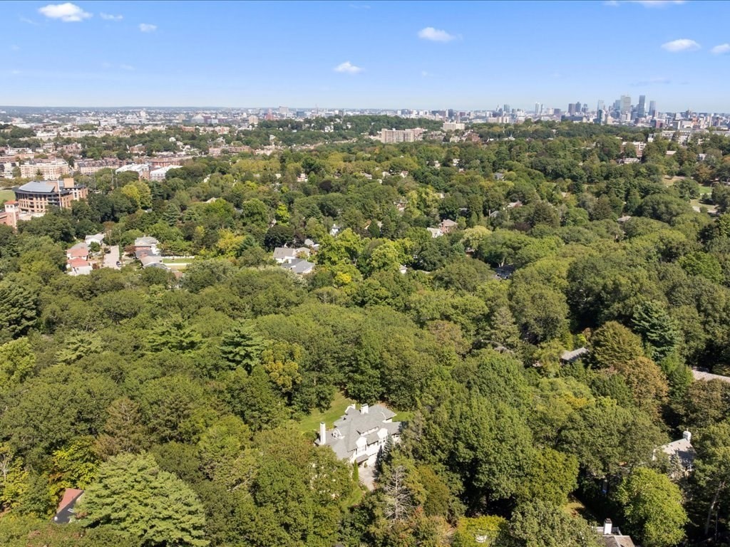 142 Crafts Road, Brookline, MA 02467 - Image 37