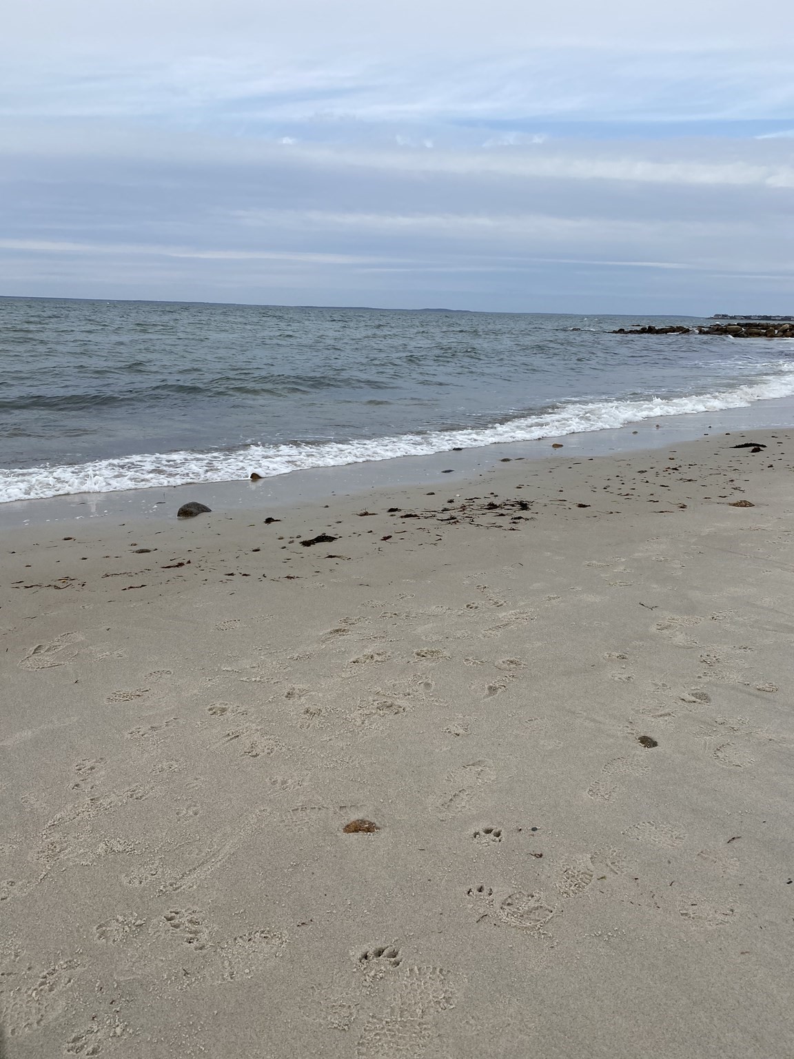 37 Nemasket Rd, Falmouth, MA 02540 - Image 11