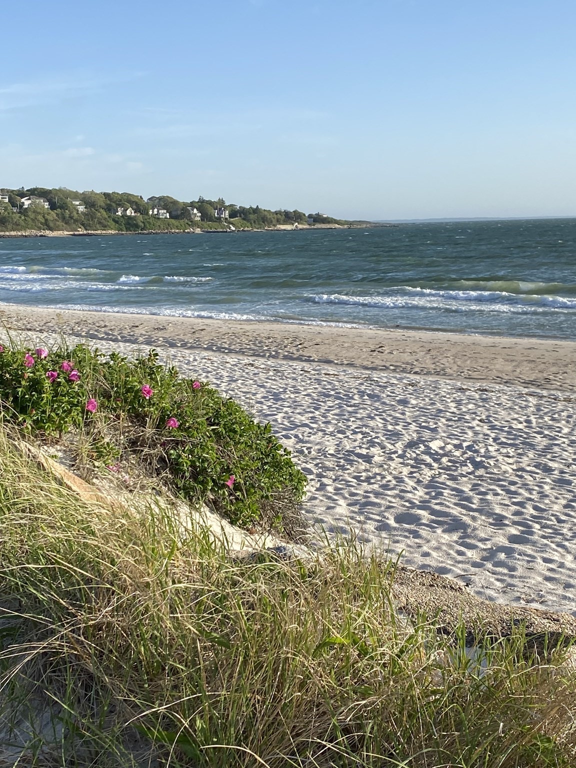 37 Nemasket Rd, Falmouth, MA 02540 - Image 12