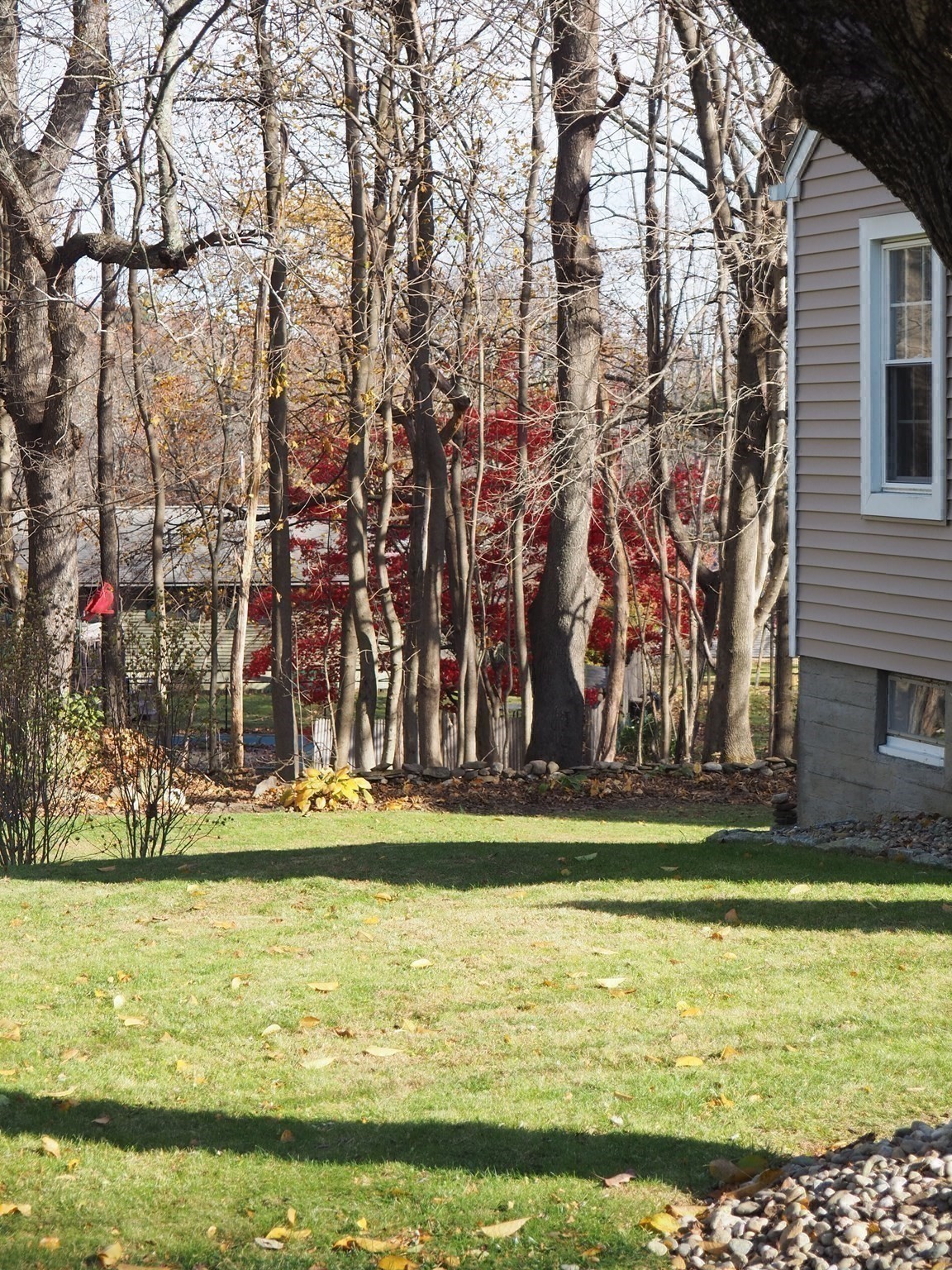 21 Highland Park Road, Rutland, MA 01543 - Image 32