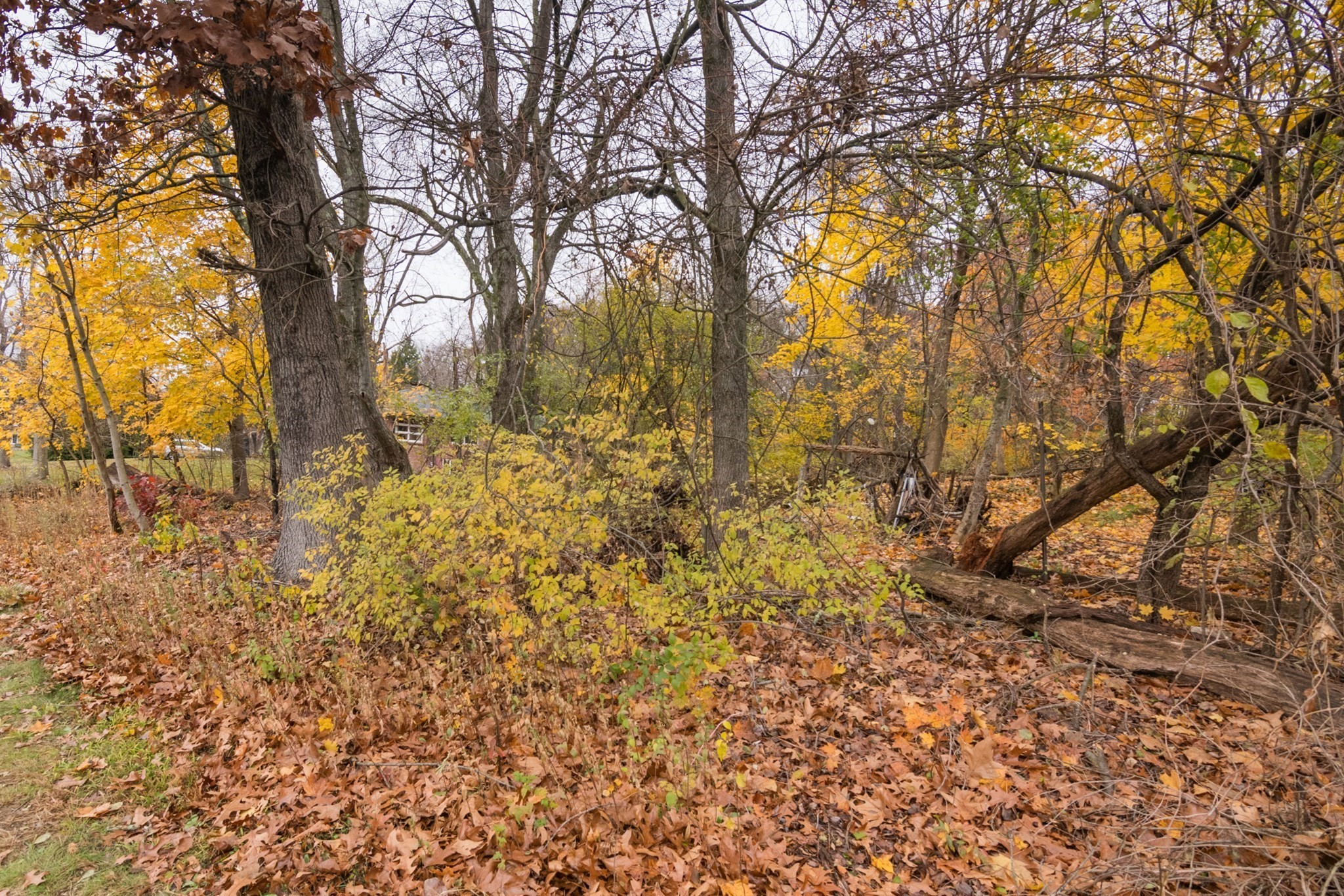 6 Melikian Dr, Wilbraham, MA 01095 - Image 4