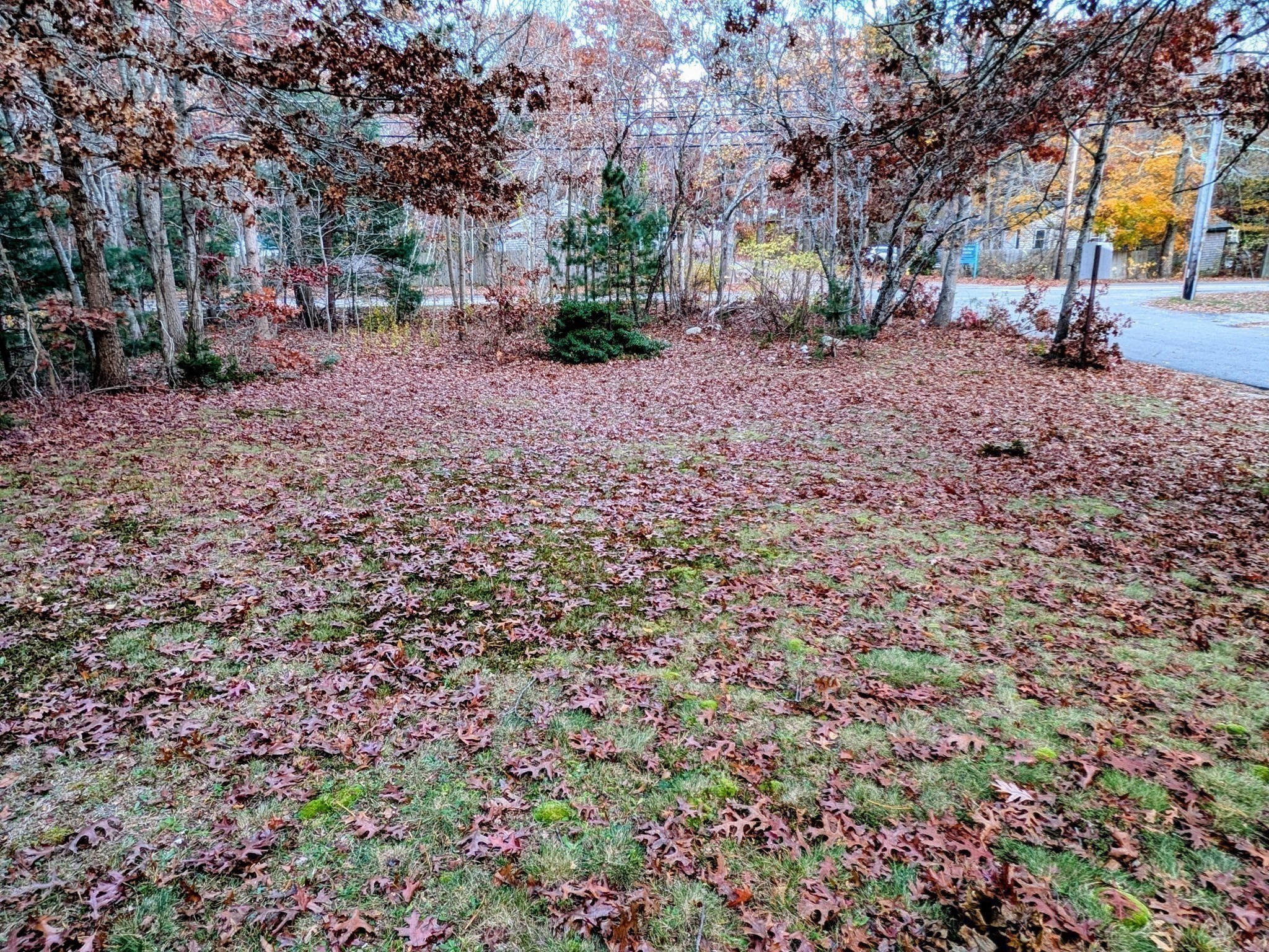 5 Trask Rd, Plymouth, MA 02360 - Image 14