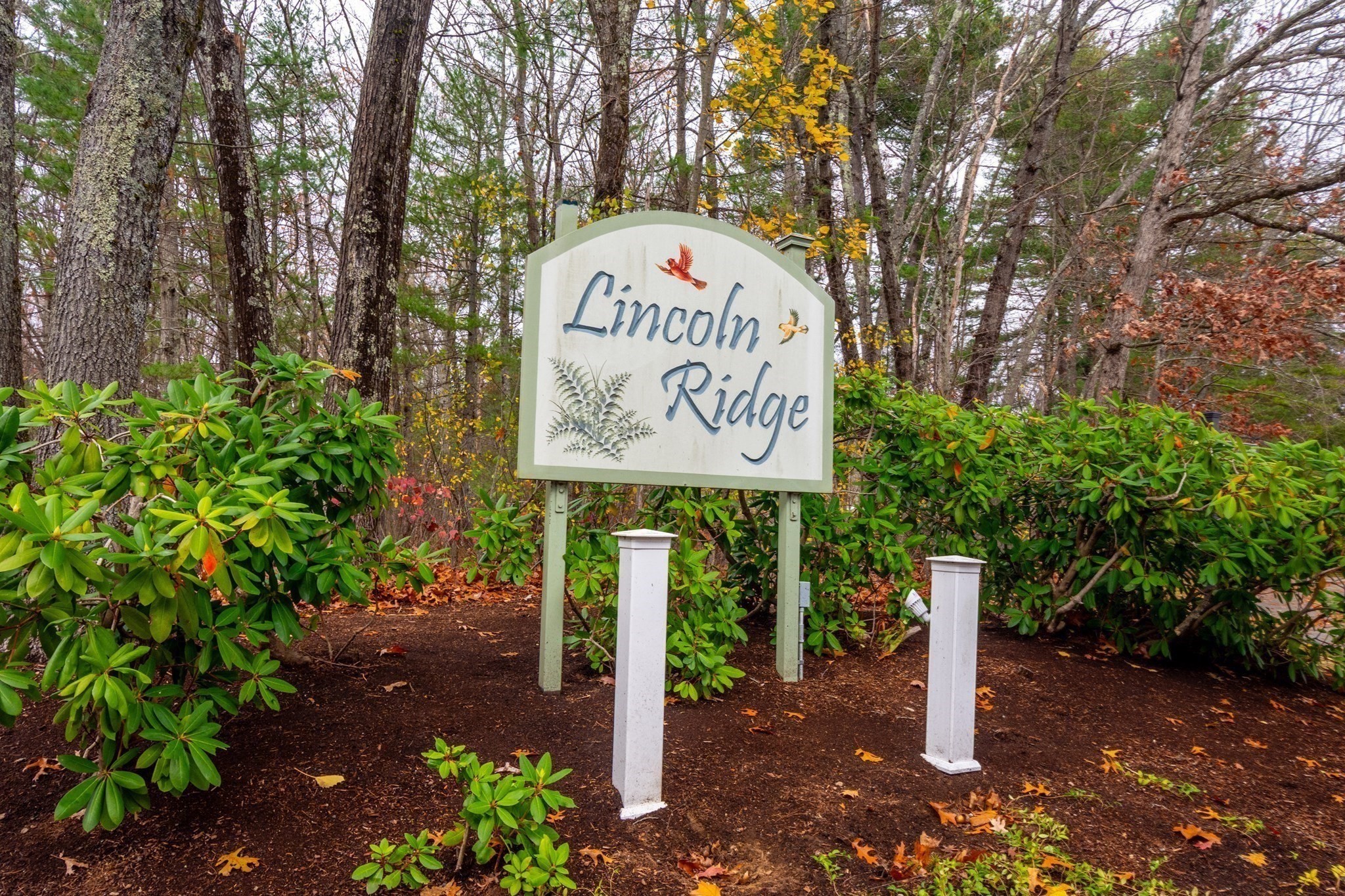 50 Windingwood  Lane Unit 50, Lincoln, MA 01773