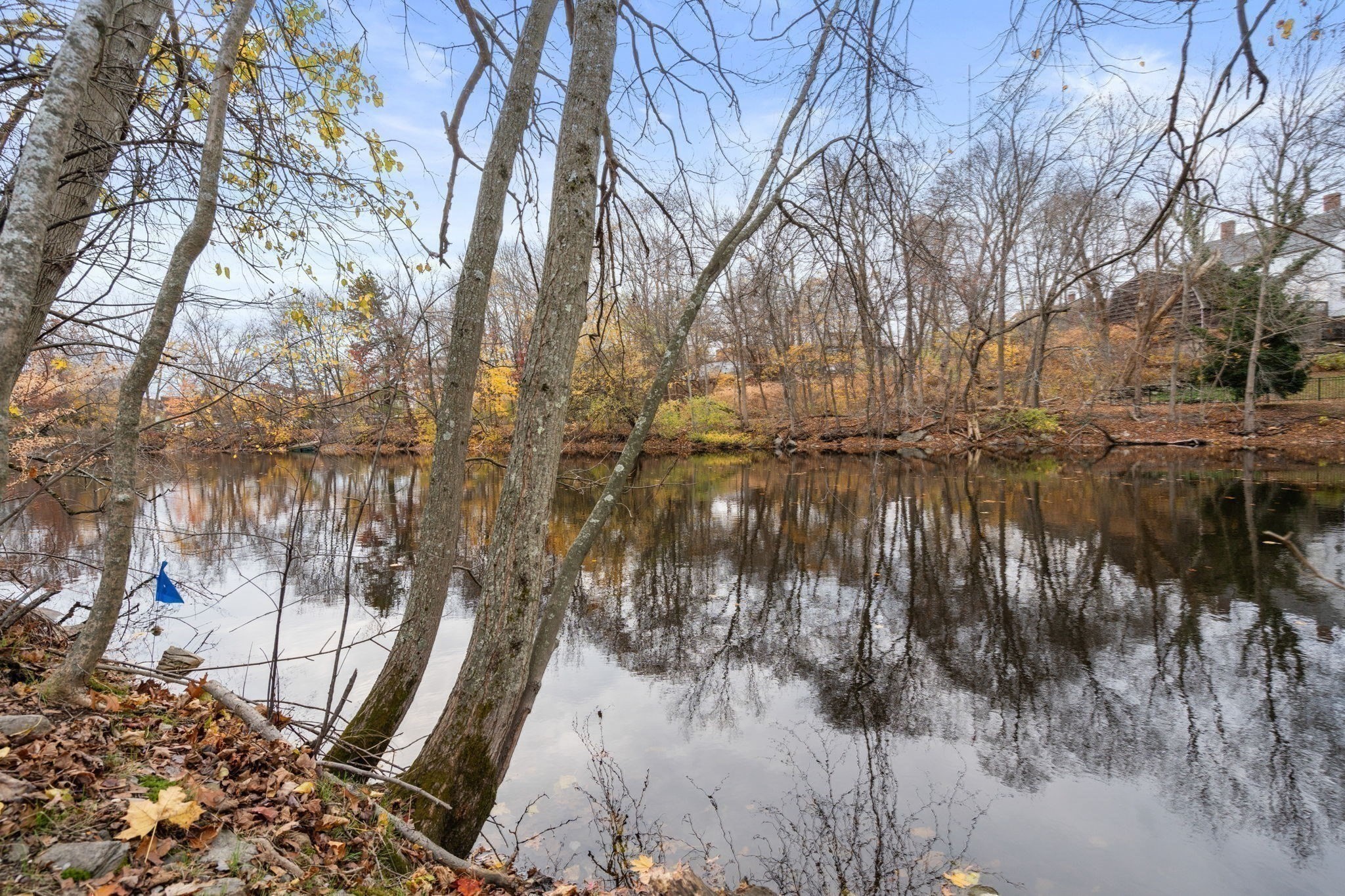 45 River Ave Unit 45, Newton, MA 02464 - Image 39