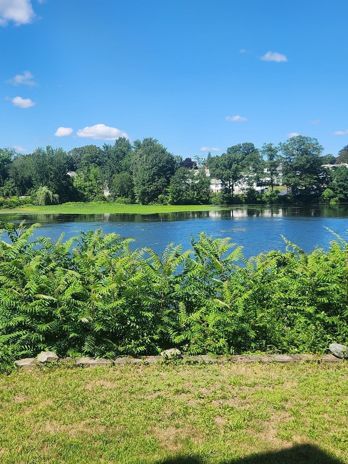 15 Elm Street, Leominster, MA 01543 - Image 2