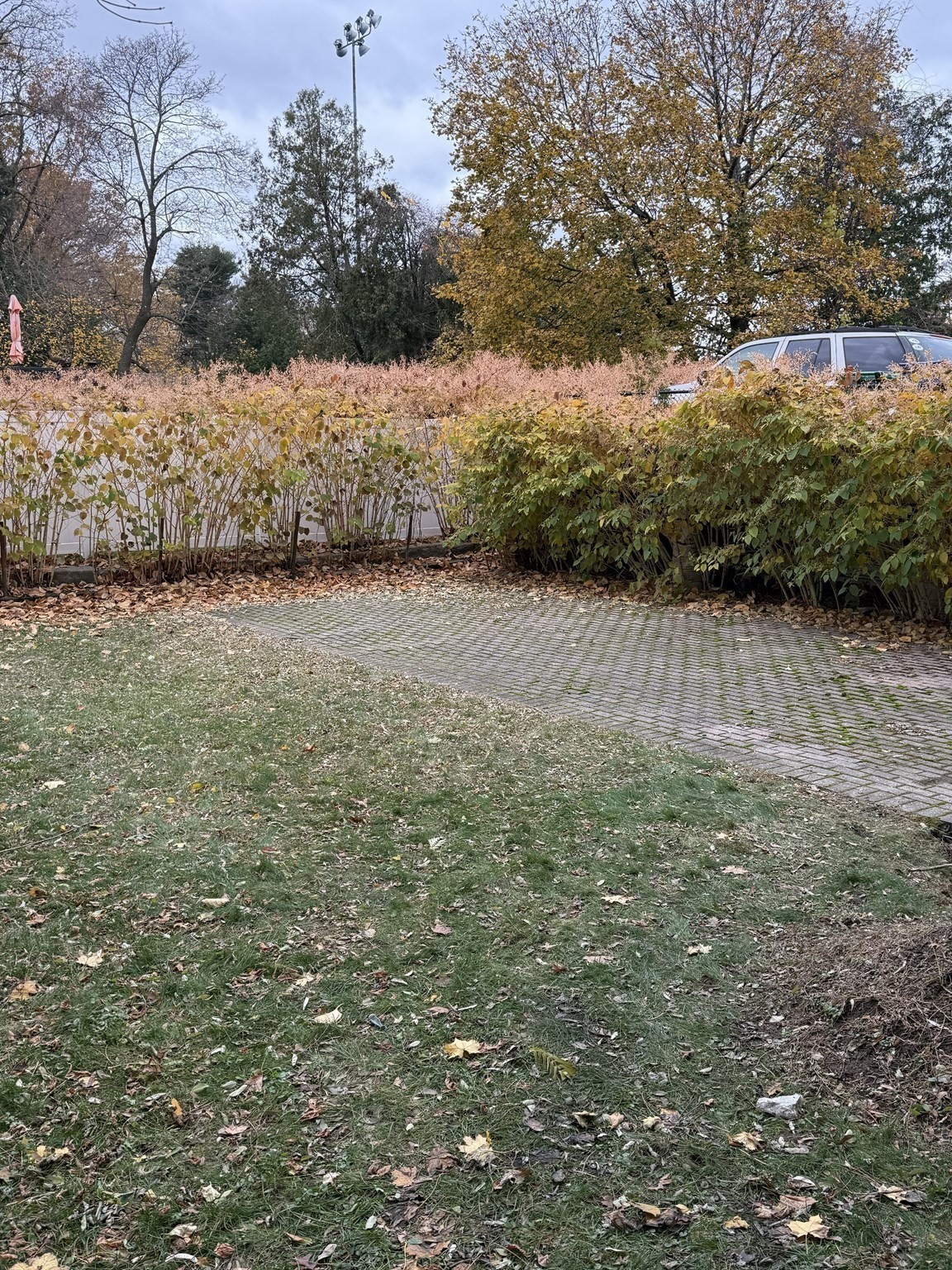 49 Hawthorn St, Newton, MA 02458 - Image 6