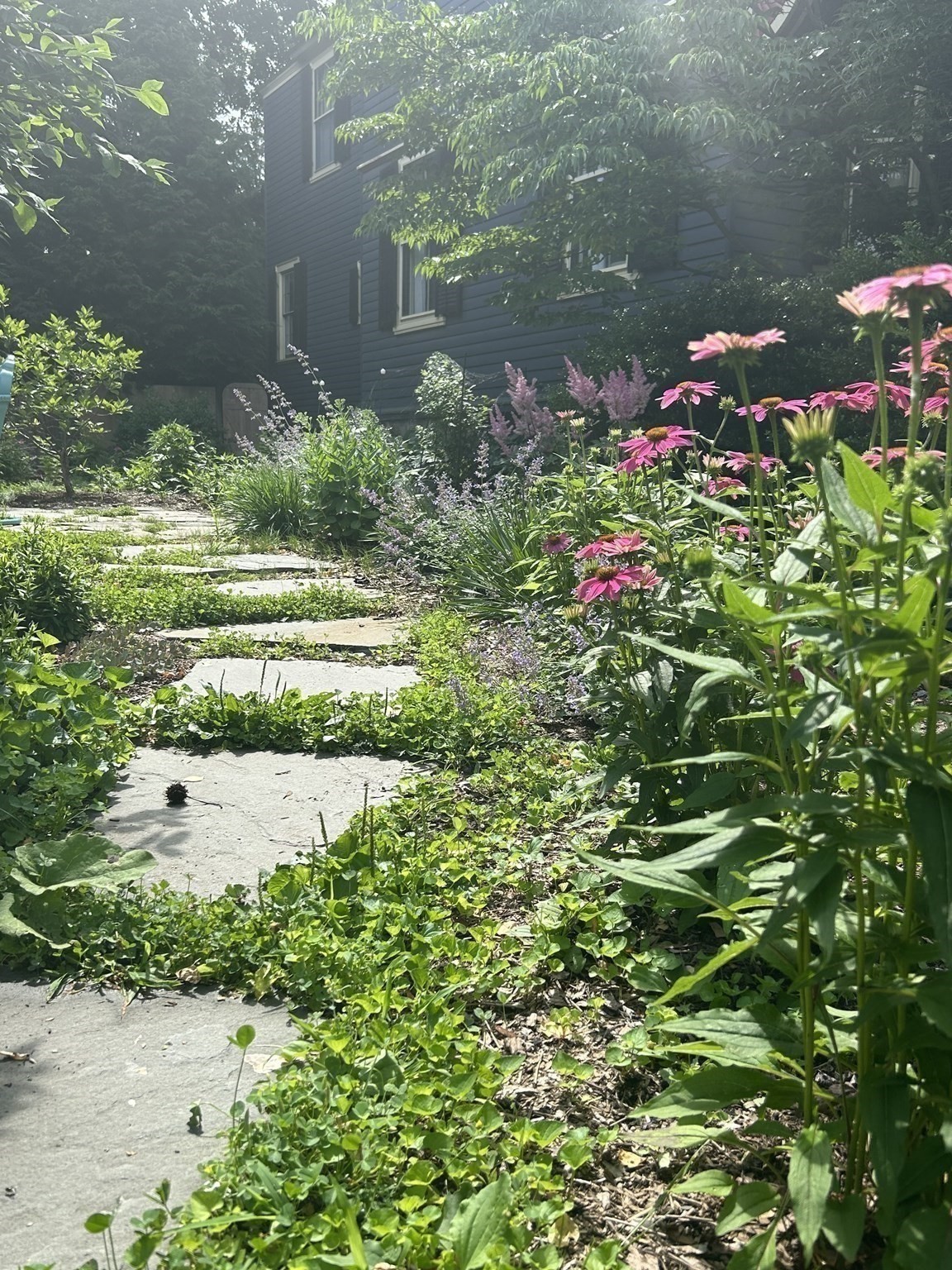 61 William St, Worcester, MA 01609 - Image 37