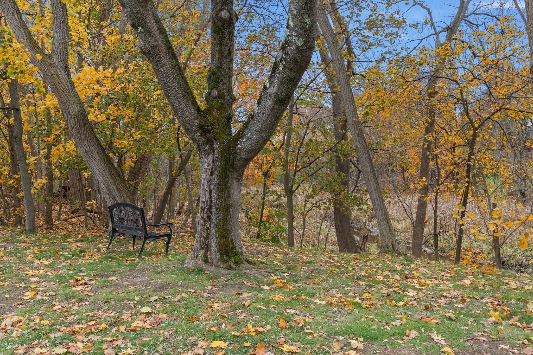 37 Holten St Unit 2, Danvers, MA 01923 - Image 25