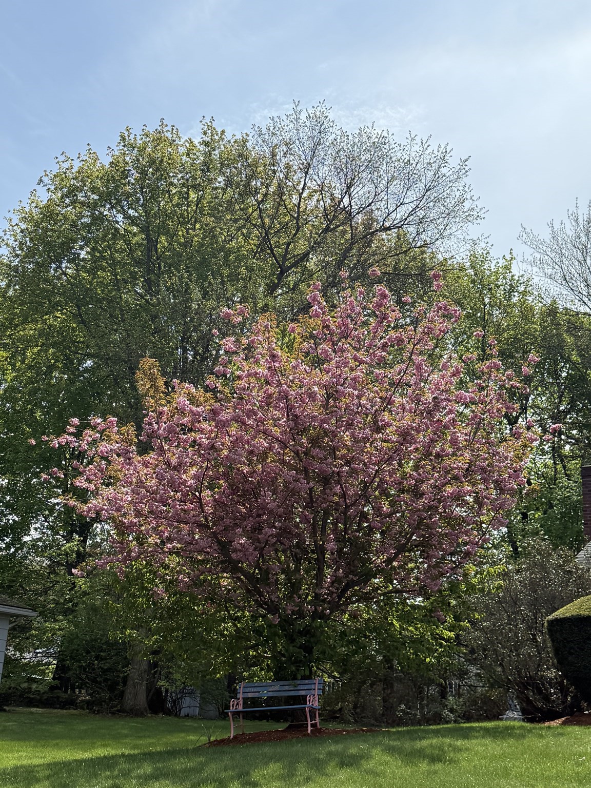 111 Draper Street, Lowell, MA 01852 - Image 41