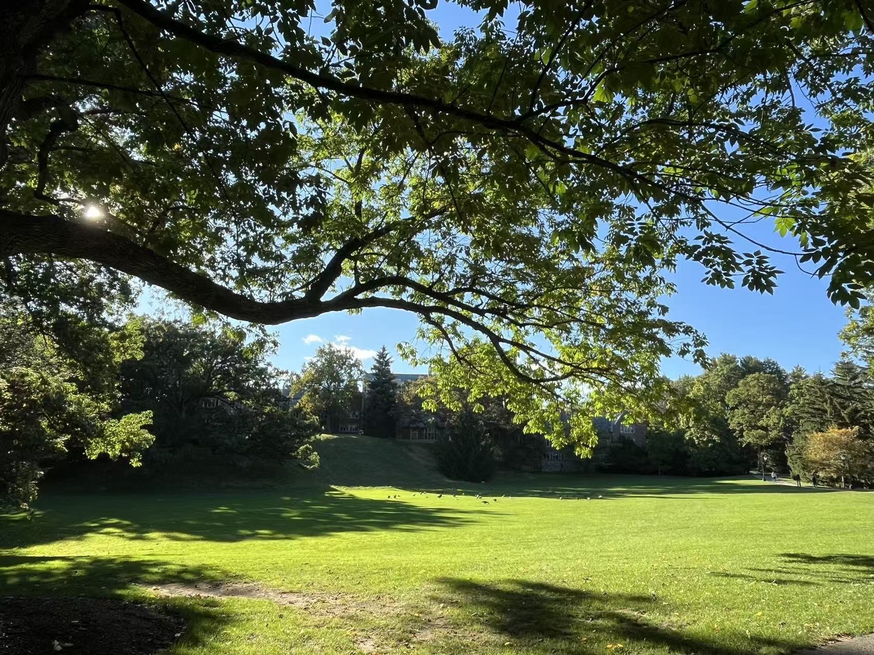 16 Concord Greene Unit 5, Concord, MA 01742 - Image 38