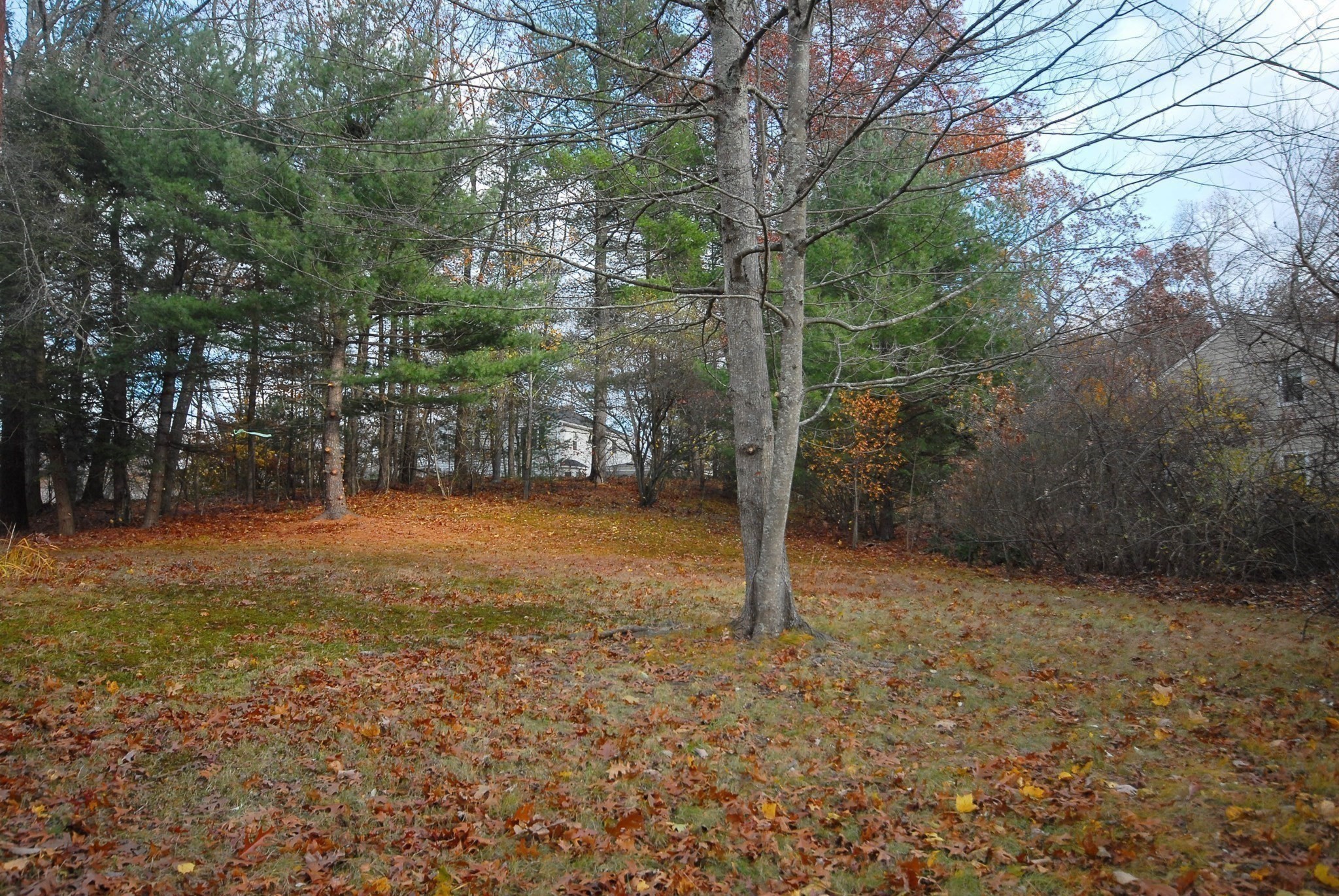 70 Hillside Ave, Concord, MA 01742 - Image 14