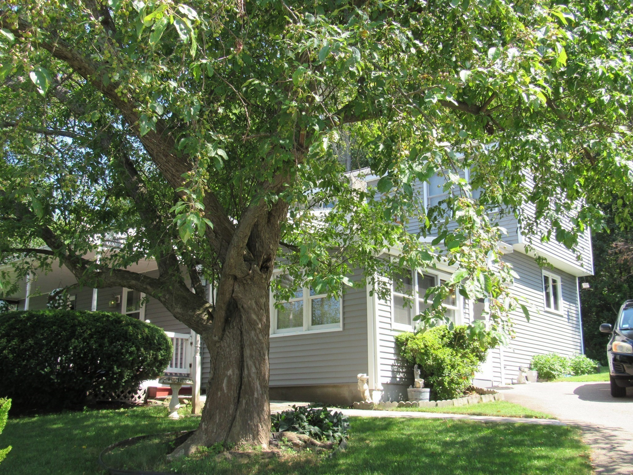 30 Taft Ave, Mendon, MA 01756 - Image 2