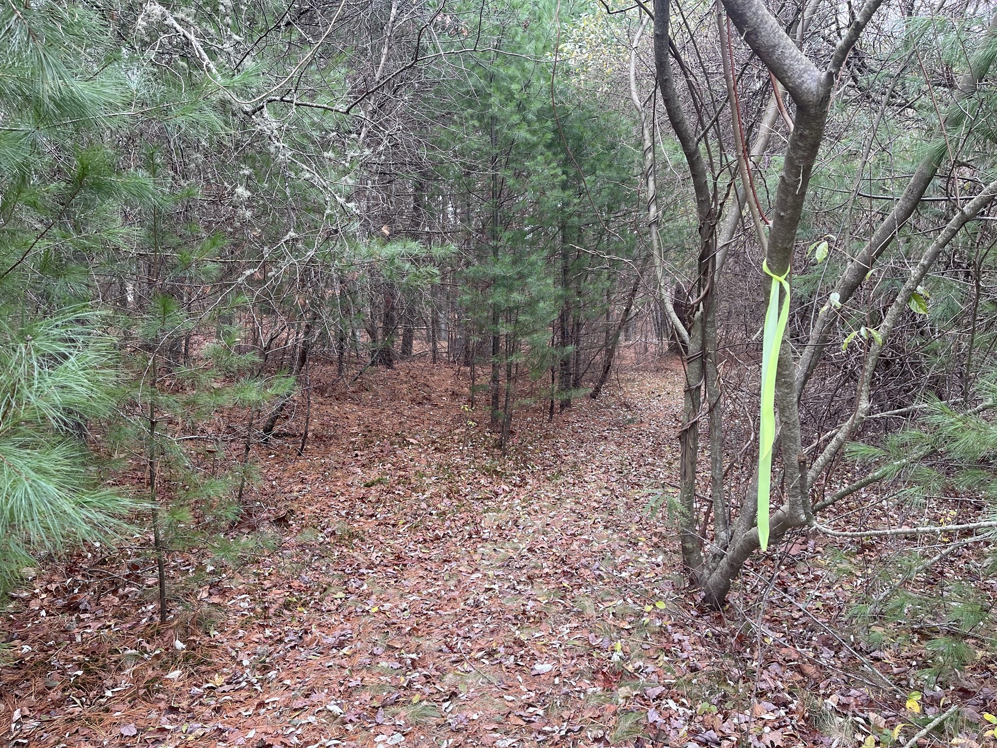 0 Cross Street (rear), Lakeville, MA 02347 - Image 12