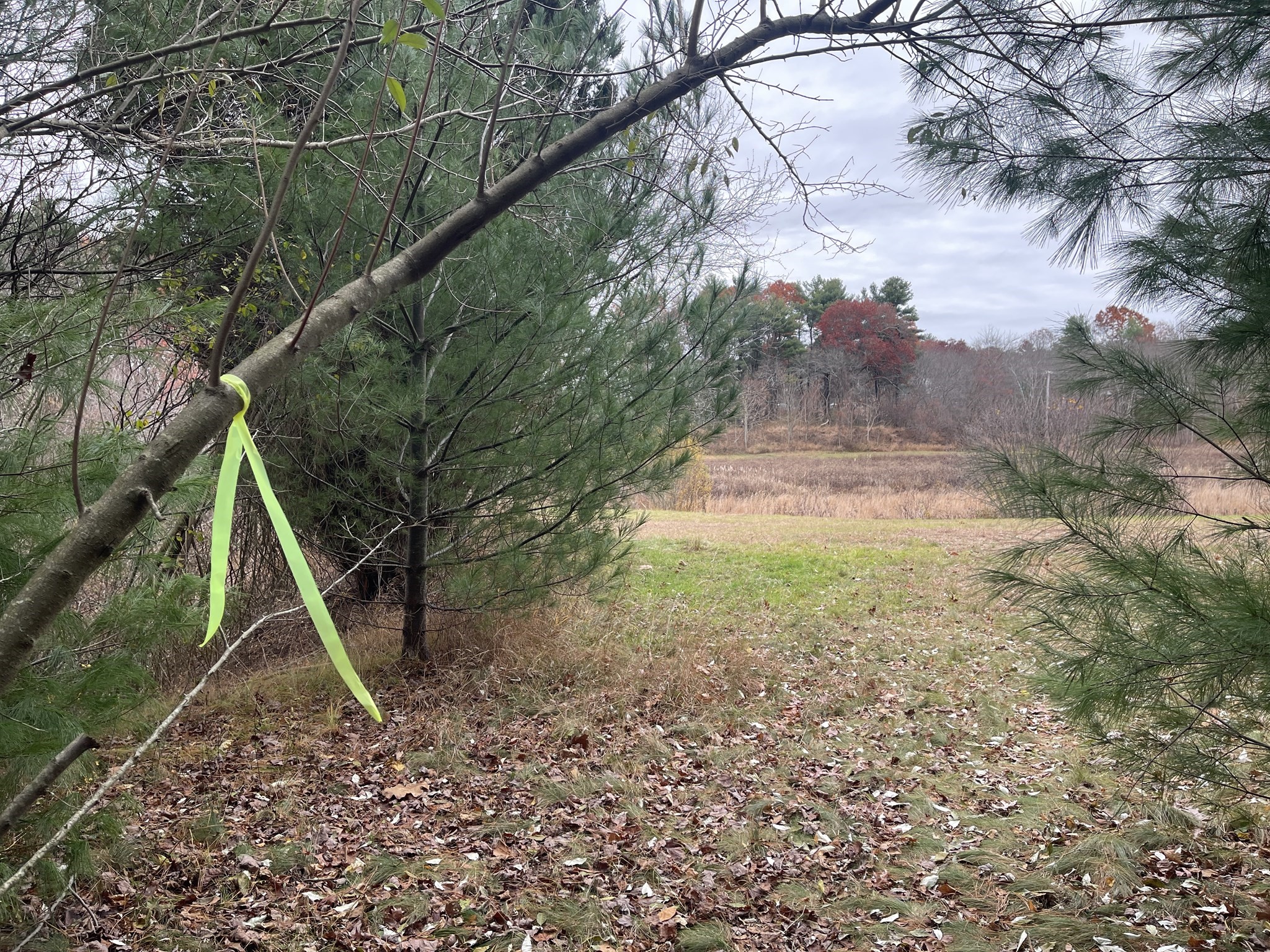 0 Cross Street (rear), Lakeville, MA 02347 - Image 13