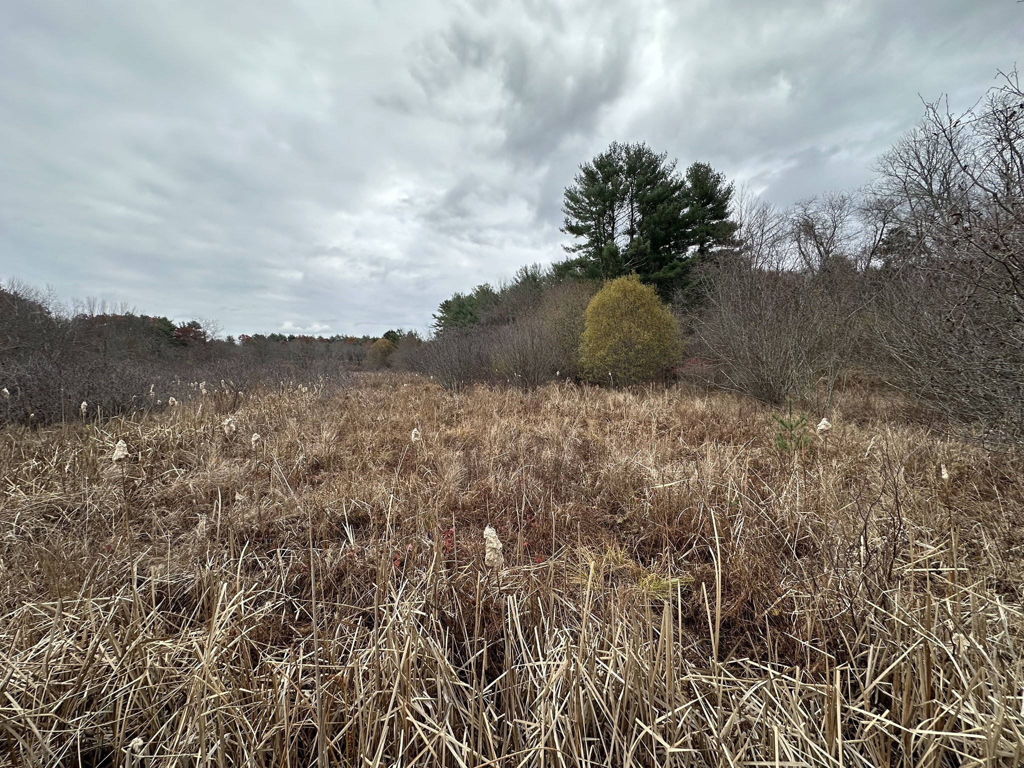 0 Cross Street (rear), Lakeville, MA 02347 - Image 14