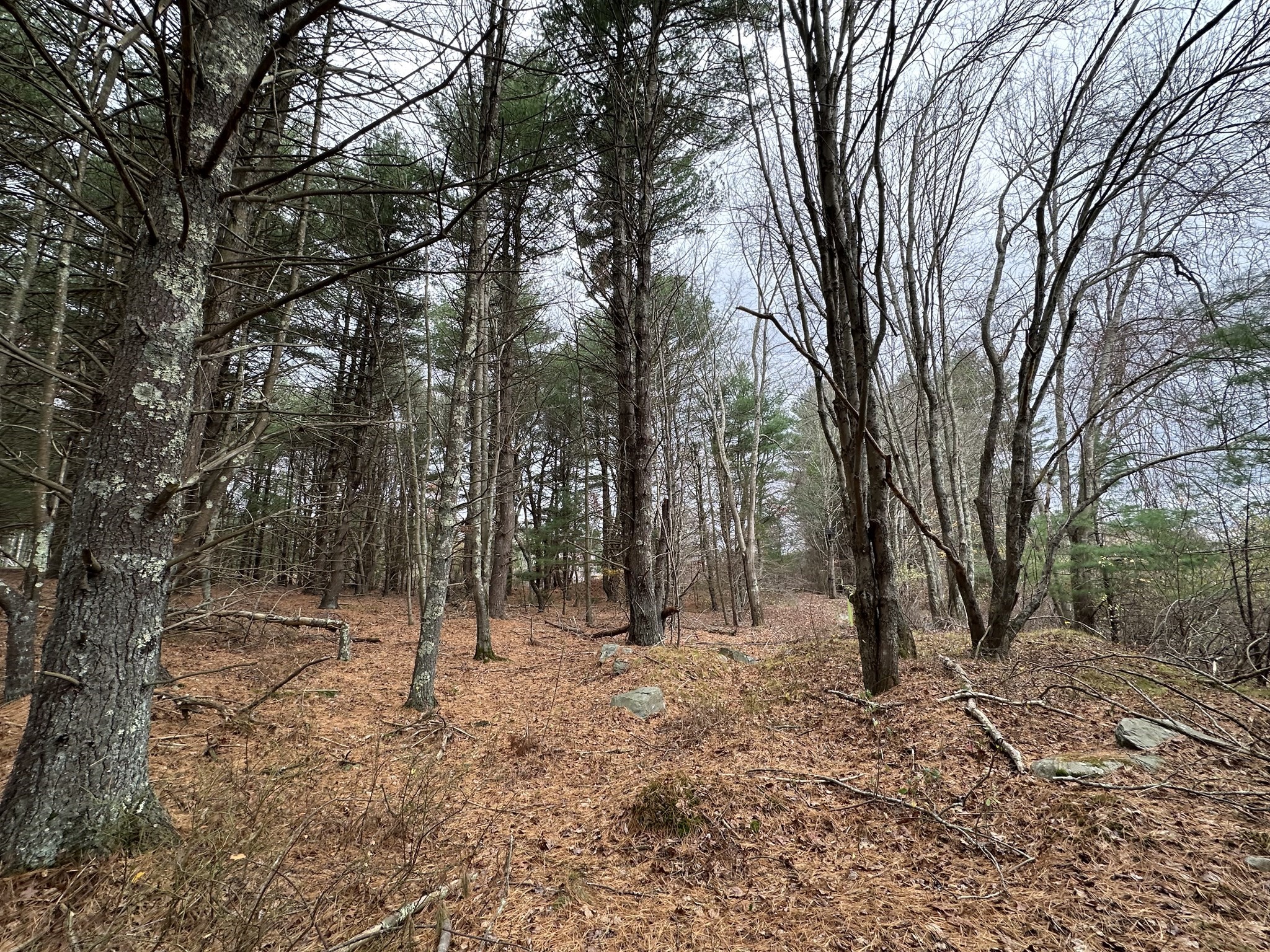 0 Cross Street (rear), Lakeville, MA 02347 - Image 15