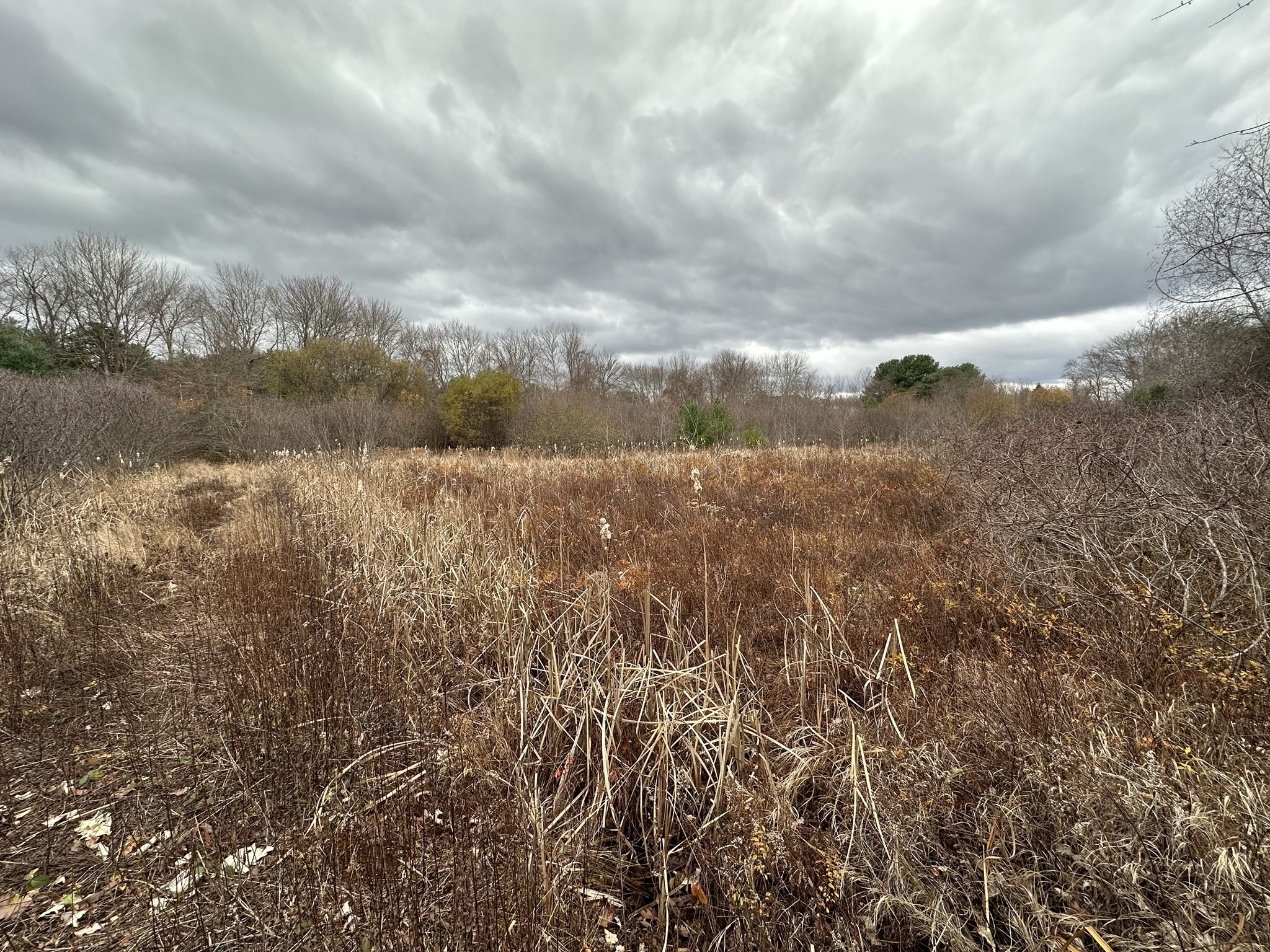 0 Cross Street (rear), Lakeville, MA 02347 - Image 16