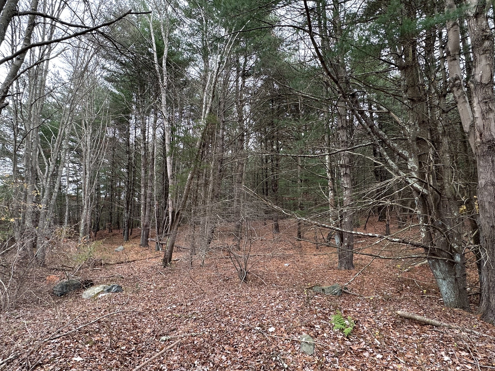 0 Cross Street (rear), Lakeville, MA 02347 - Image 17