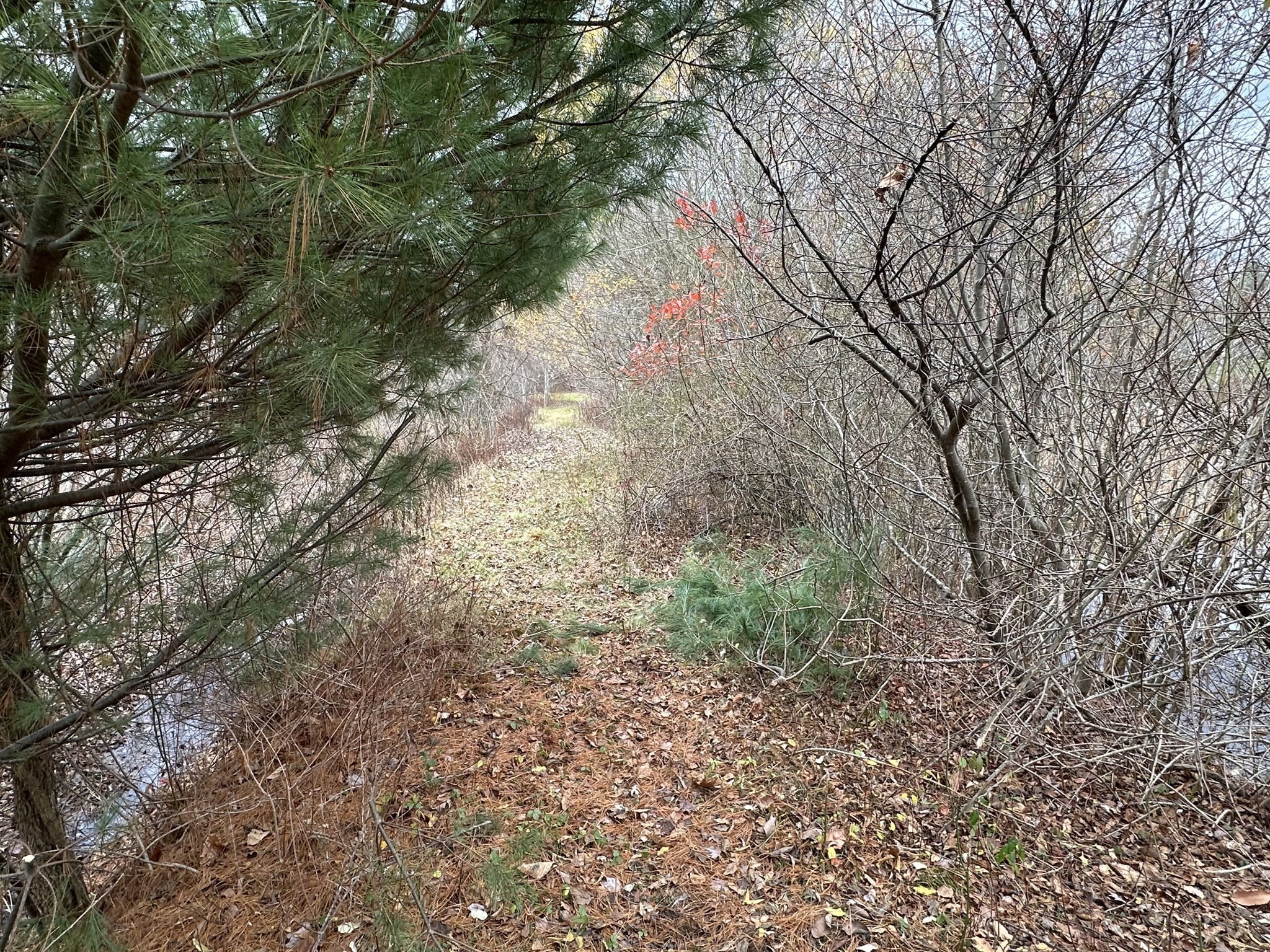 0 Cross Street (rear), Lakeville, MA 02347 - Image 19