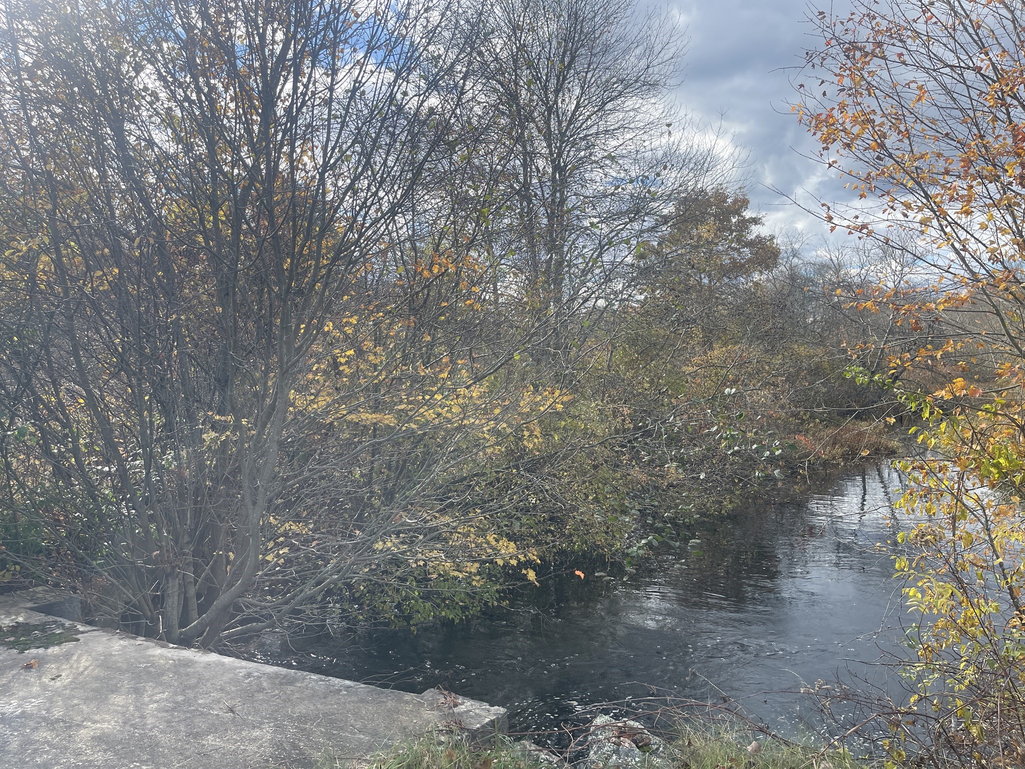 0 Cross Street (rear), Lakeville, MA 02347 - Image 3