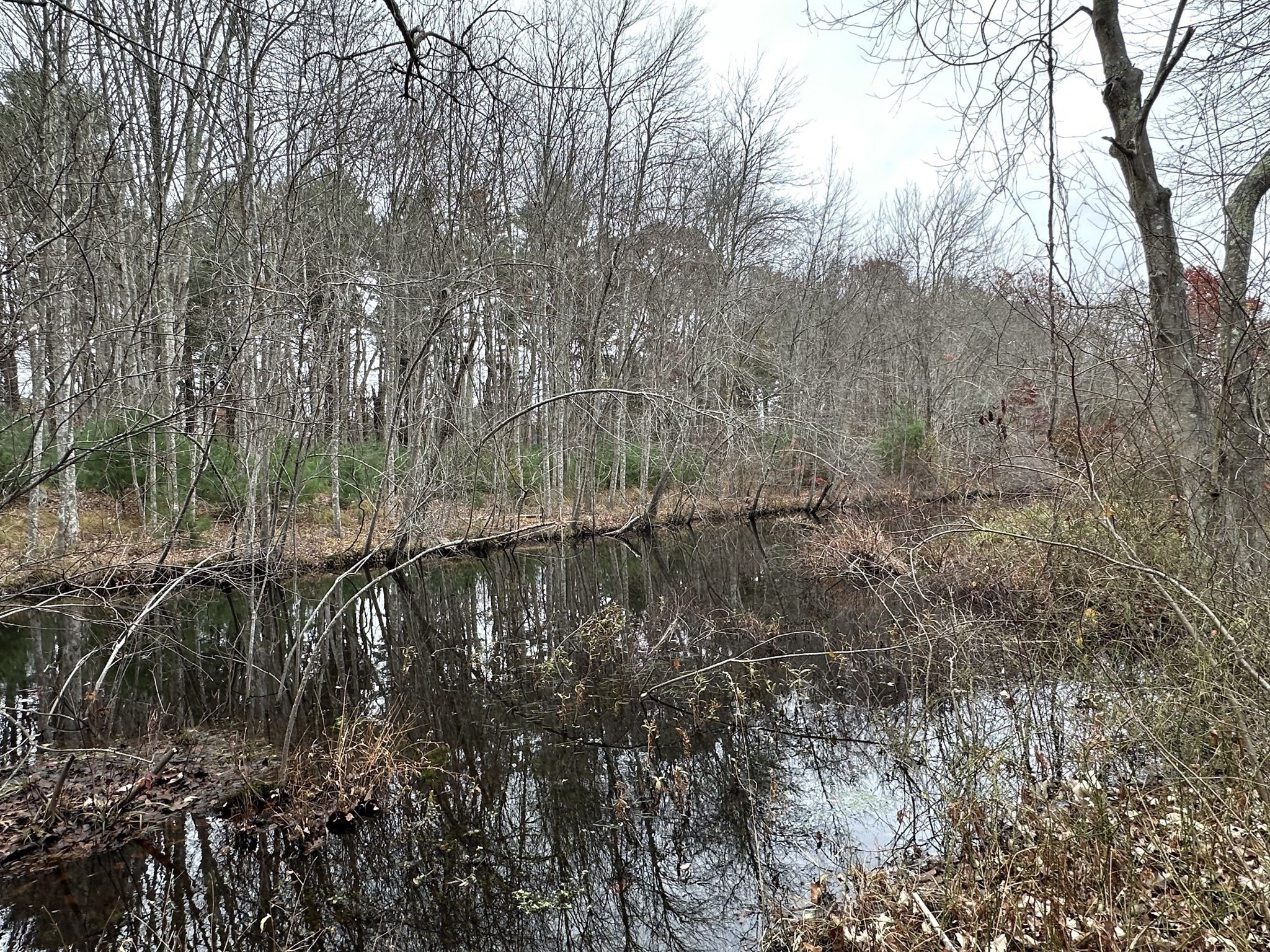 0 Cross Street (rear), Lakeville, MA 02347 - Image 23