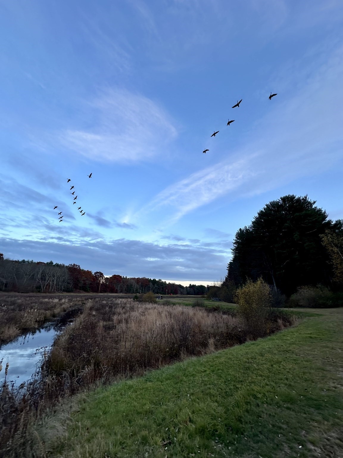 0 Cross Street (rear), Lakeville, MA 02347 - Image 24