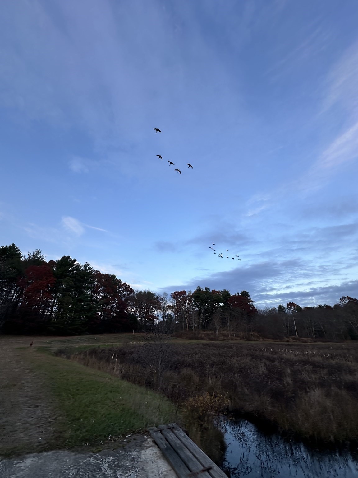 0 Cross Street (rear), Lakeville, MA 02347 - Image 25