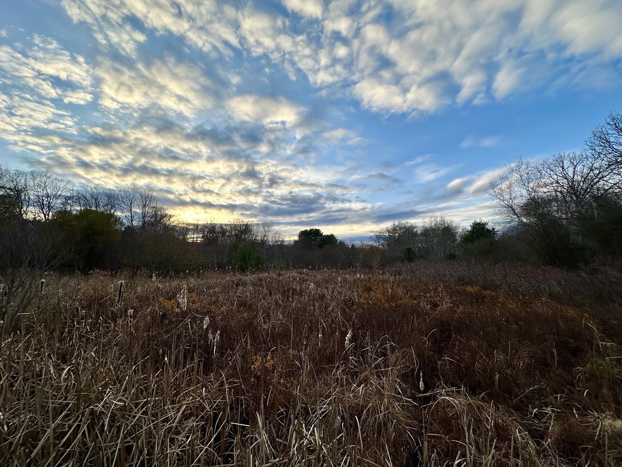 0 Cross Street (rear), Lakeville, MA 02347 - Image 27