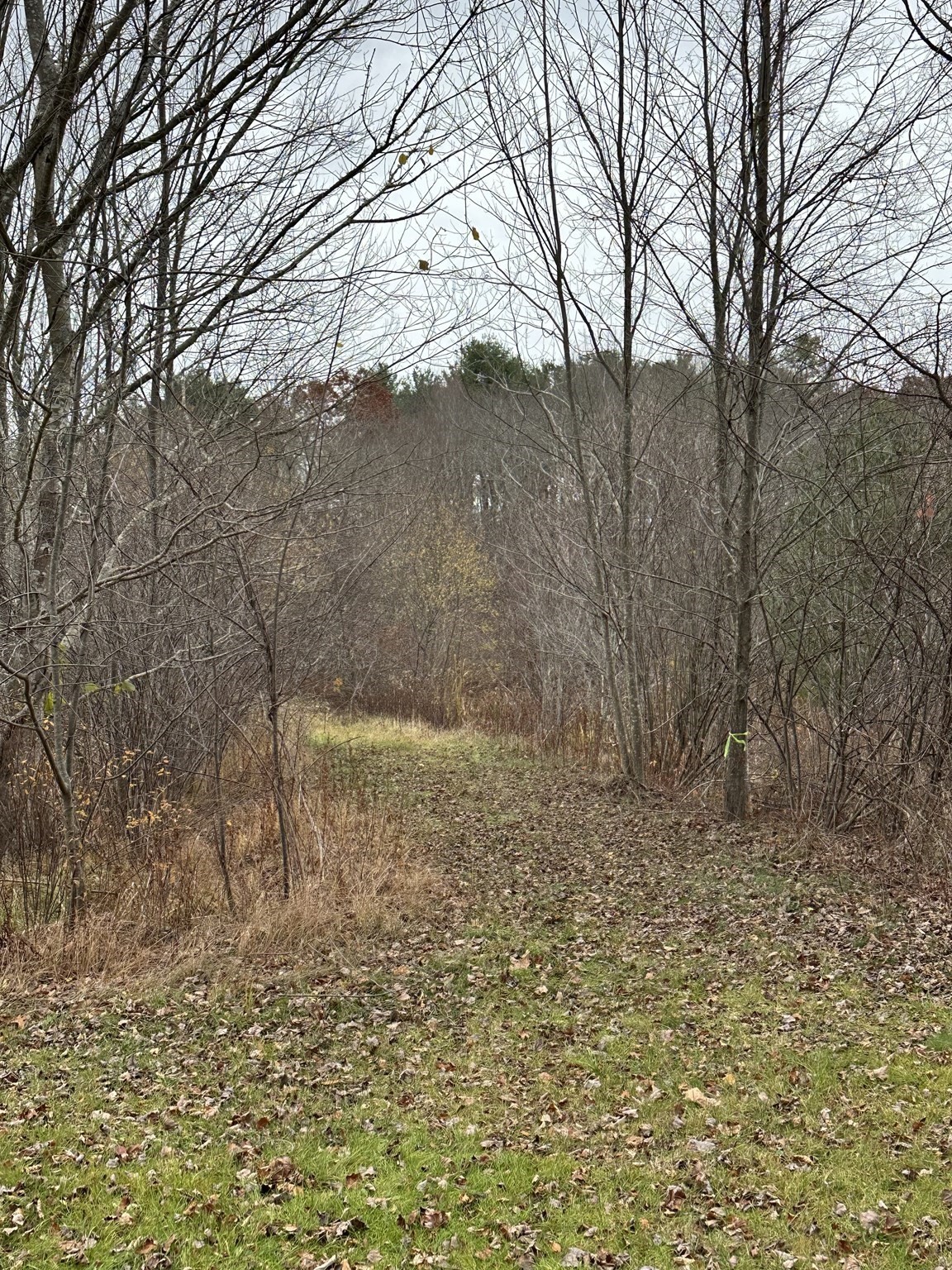 0 Cross Street (rear), Lakeville, MA 02347 - Image 28