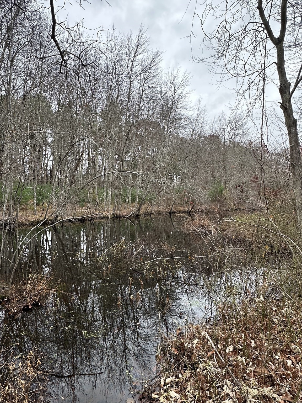 0 Cross Street (rear), Lakeville, MA 02347 - Image 29