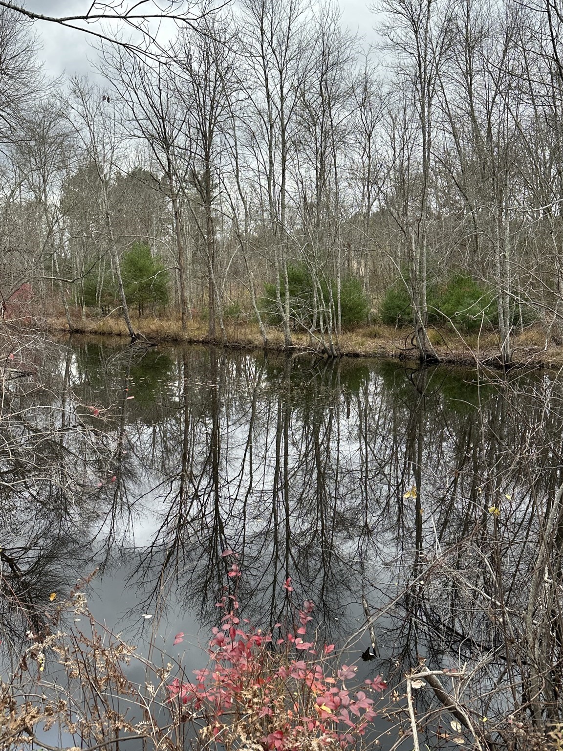 0 Cross Street (rear), Lakeville, MA 02347 - Image 30