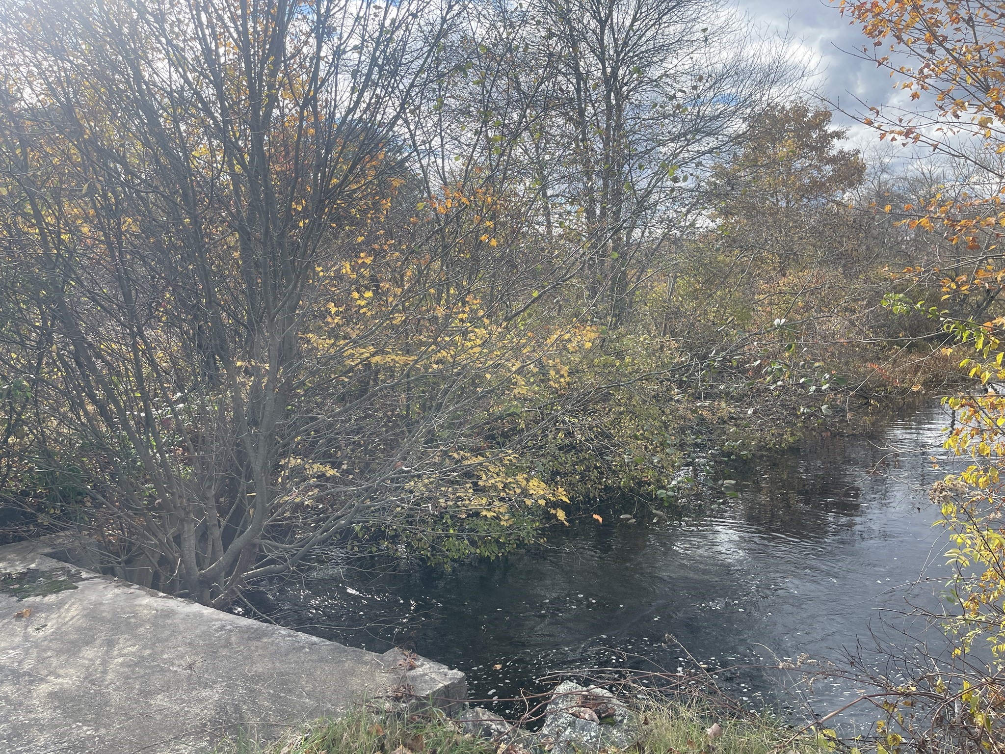 0 Cross Street (rear), Lakeville, MA 02347 - Image 4