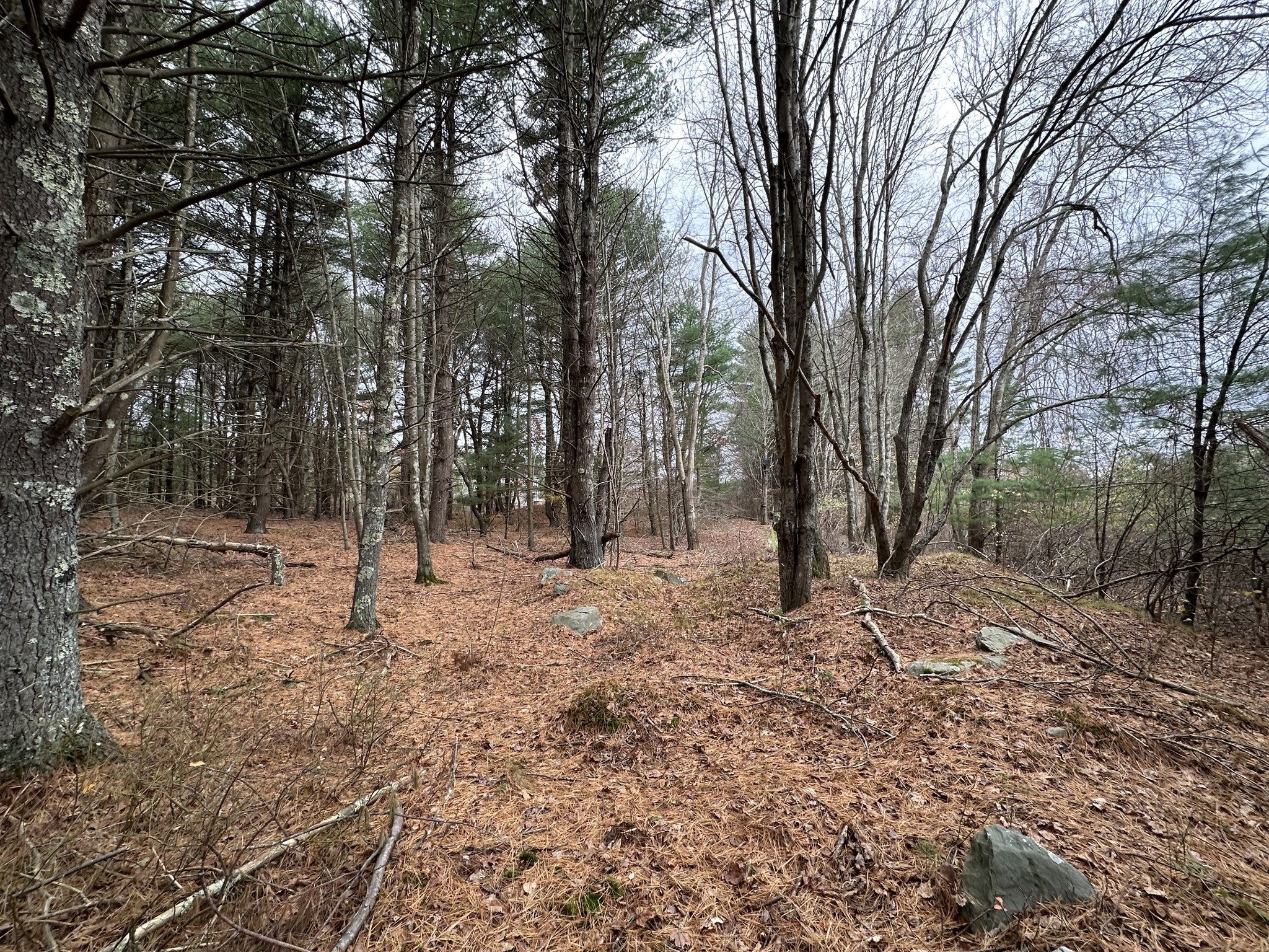 0 Cross Street (rear), Lakeville, MA 02347 - Image 6