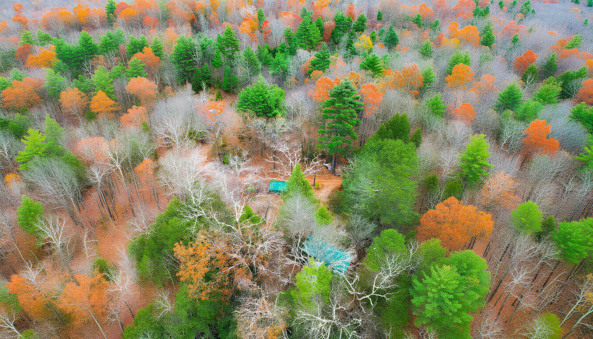 38 King Dr, Wilbraham, MA 01095 - Image 2