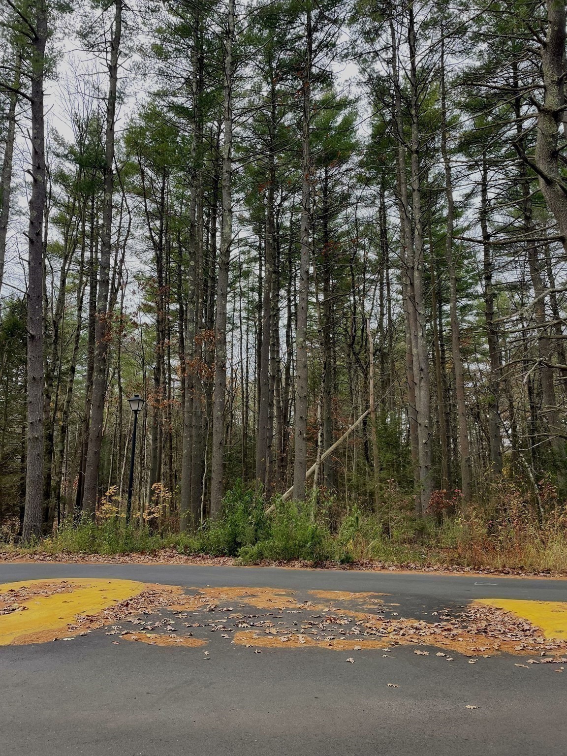 0 Heatherstone Rd, Amherst, MA 01002 - Image 7