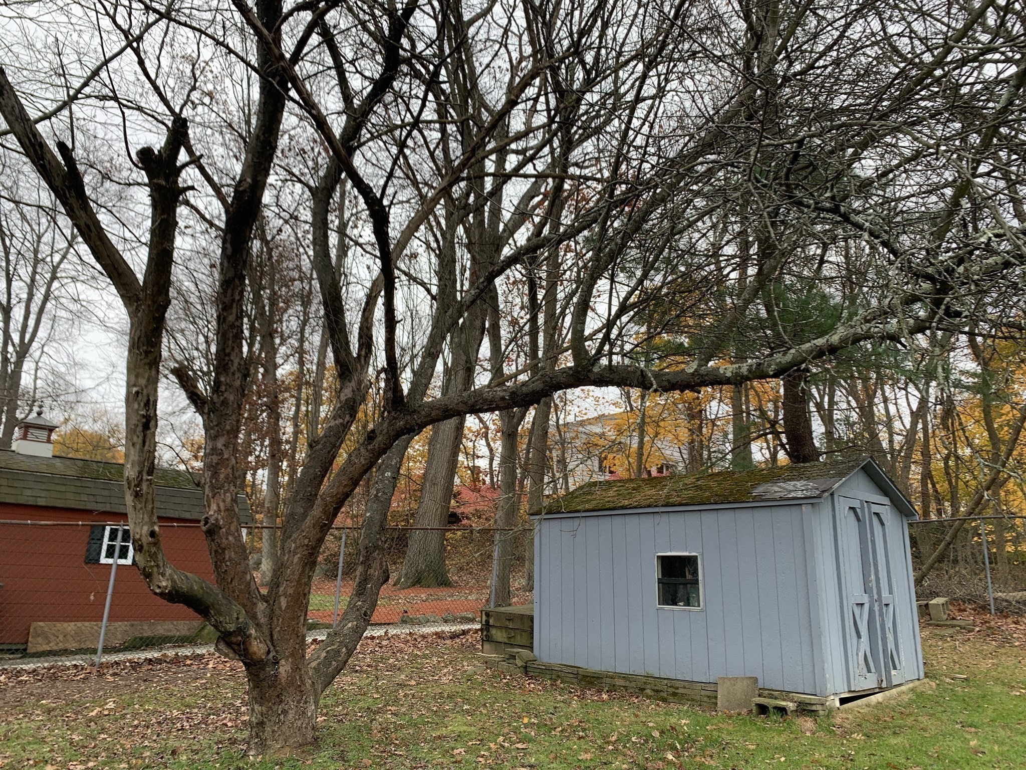 256 Evergreen Ave, Braintree, MA 02184 - Image 33