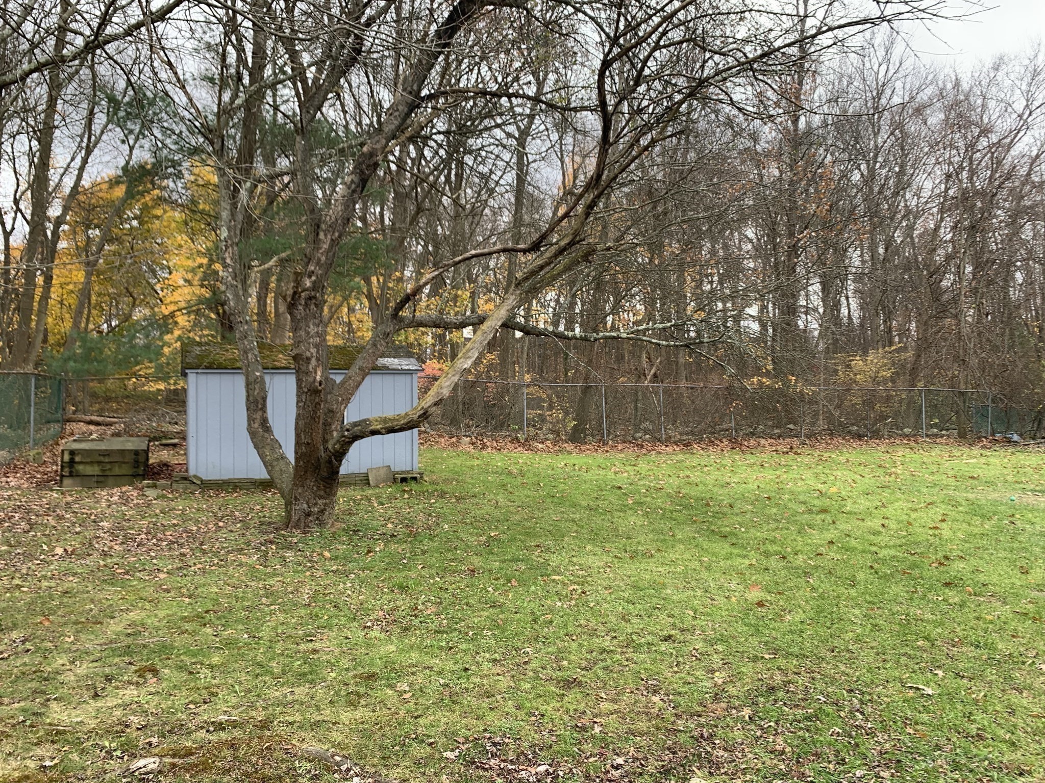 256 Evergreen Ave, Braintree, MA 02184 - Image 39