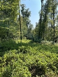 183 Se Main Street, Douglas, MA 01516 - Image 3