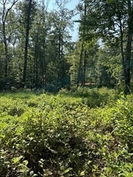 183 Se Main Street, Douglas, MA 01516 - Image 4