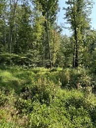 183 Se Main Street, Douglas, MA 01516 - Image 6