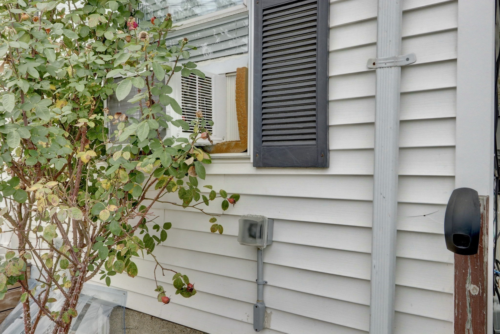 19 Delford St Unit 1, Roslindale, Boston, MA 02131 - Image 22