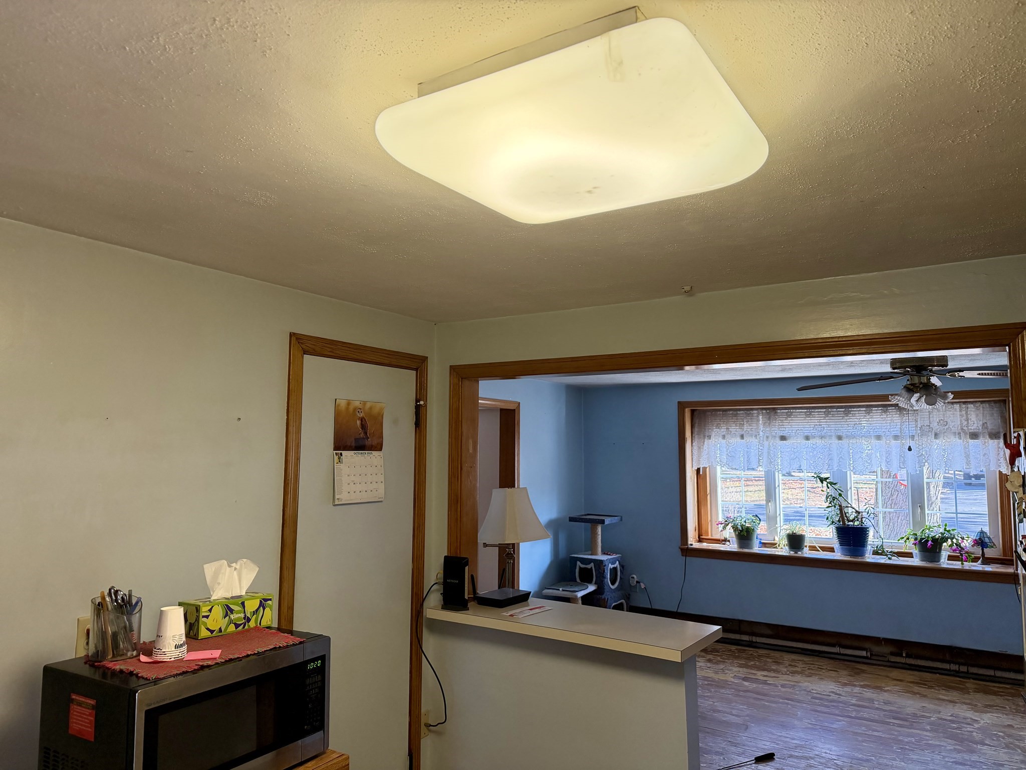 31 Pineywood Rd, Southwick, MA 01077 - Image 5