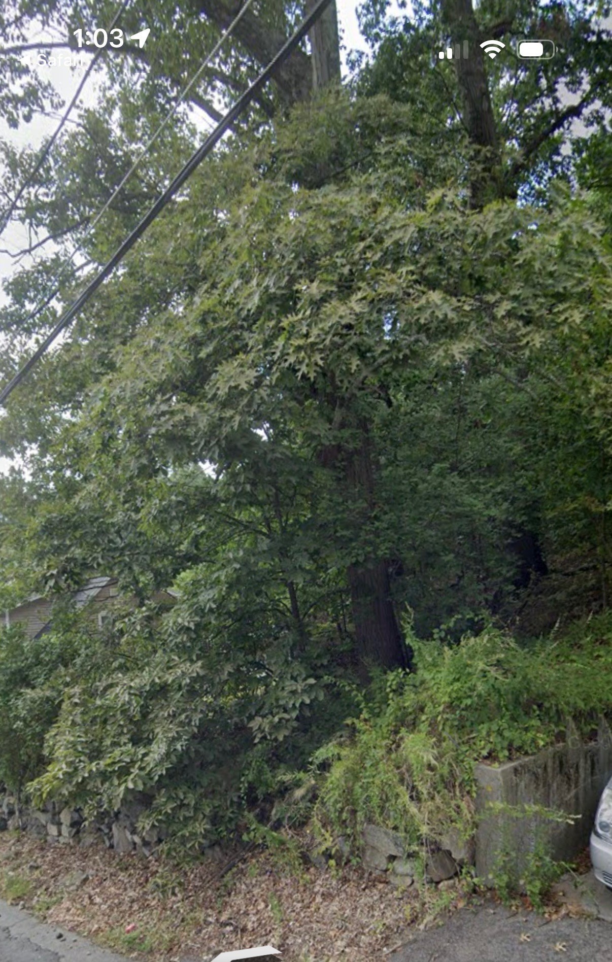 0 Beachview Ave, Malden, MA 02148 - Image 2