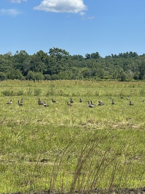 148 Lot 1a Elm Street, Halifax, MA 02338 - Image 25