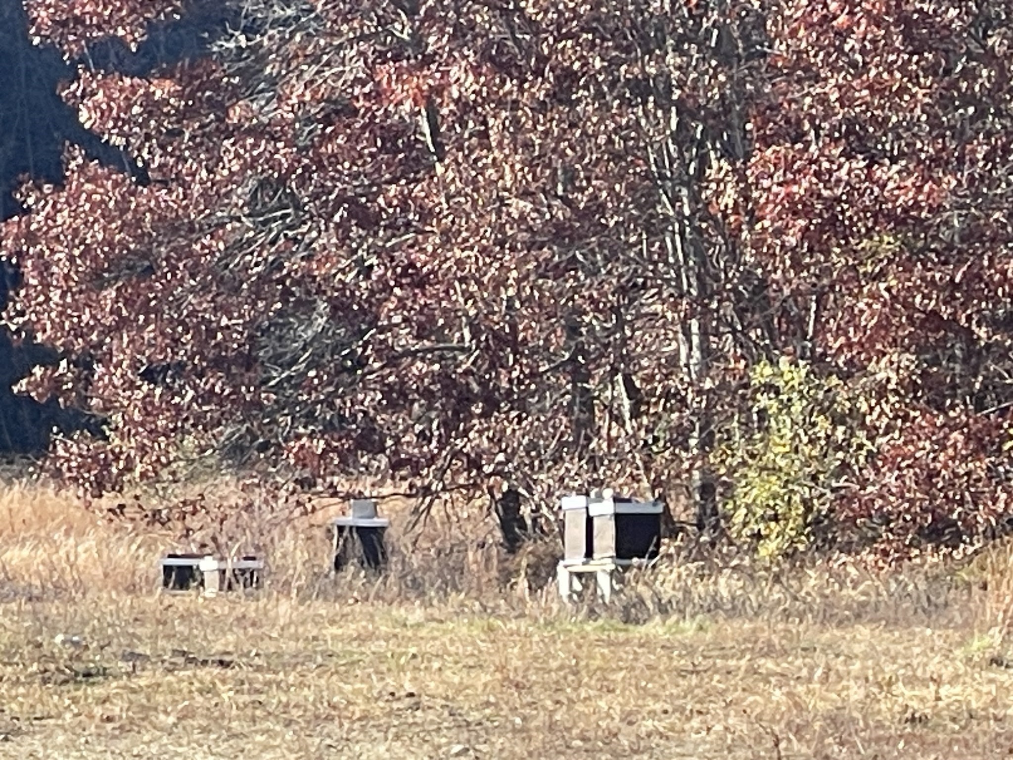 148 Lot 1a Elm Street, Halifax, MA 02338 - Image 6