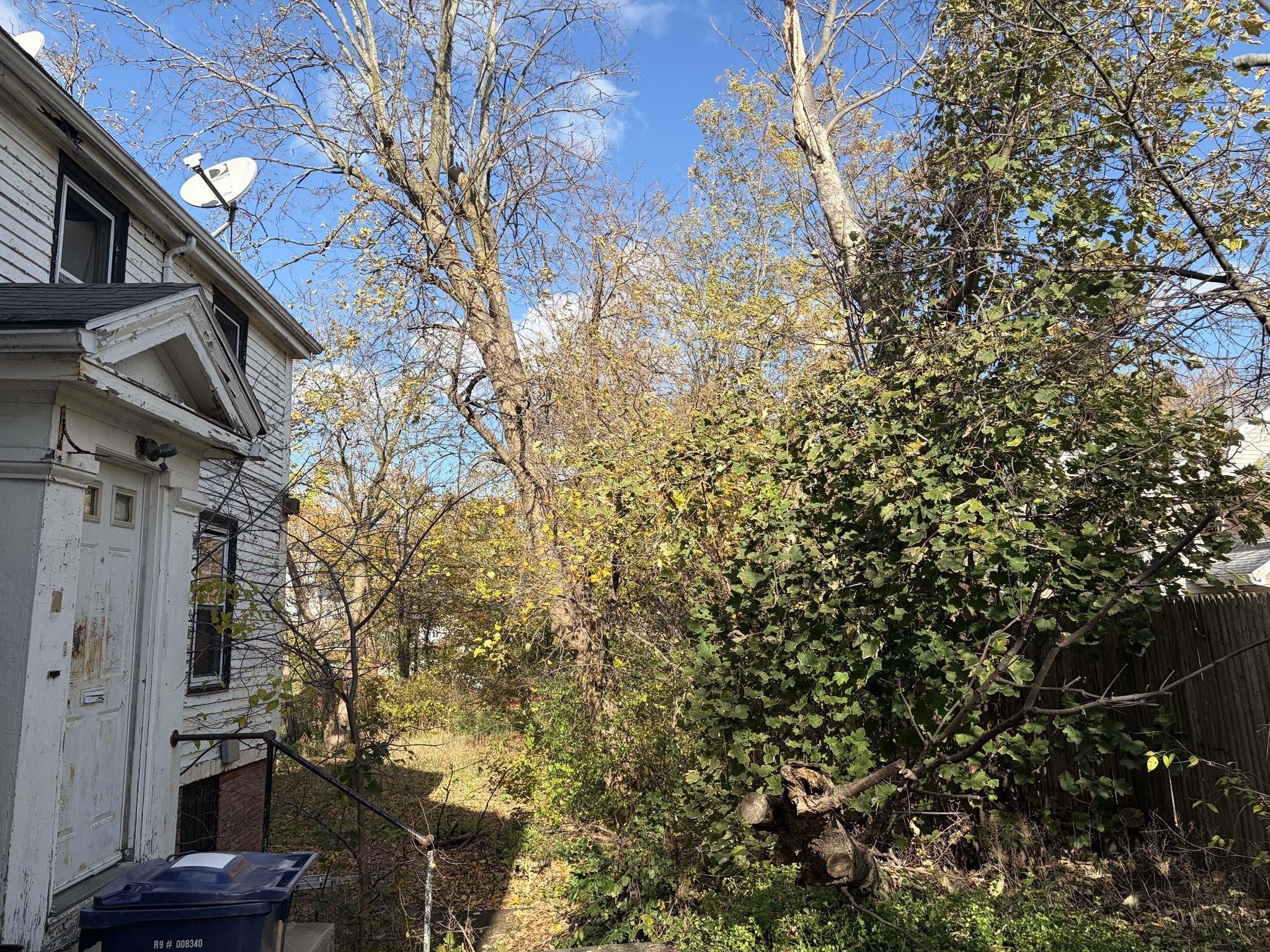 51 Saint James St, Roxbury, Boston, MA 02119 - Image 2