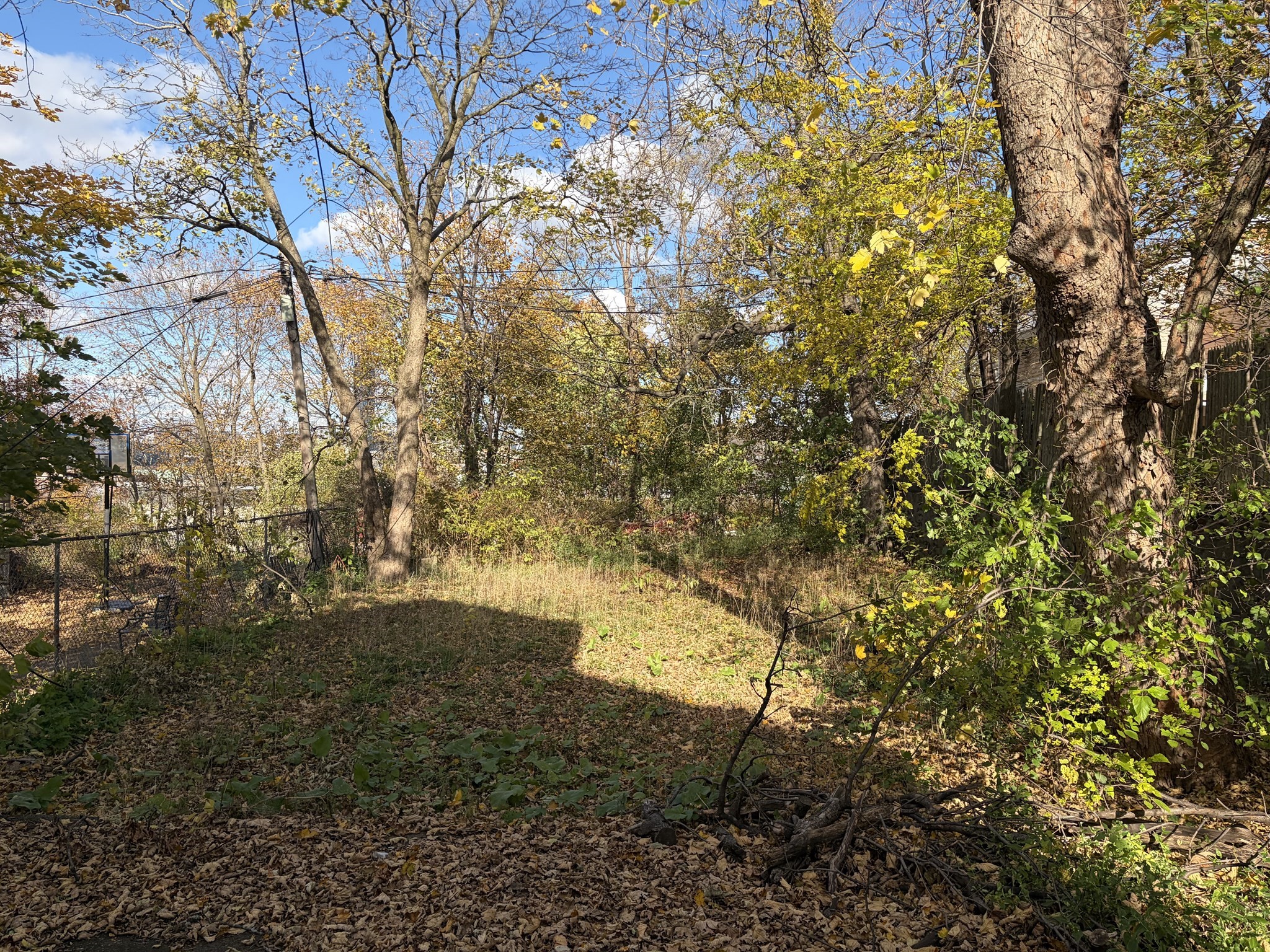 51 Saint James St, Roxbury, Boston, MA 02119 - Image 3